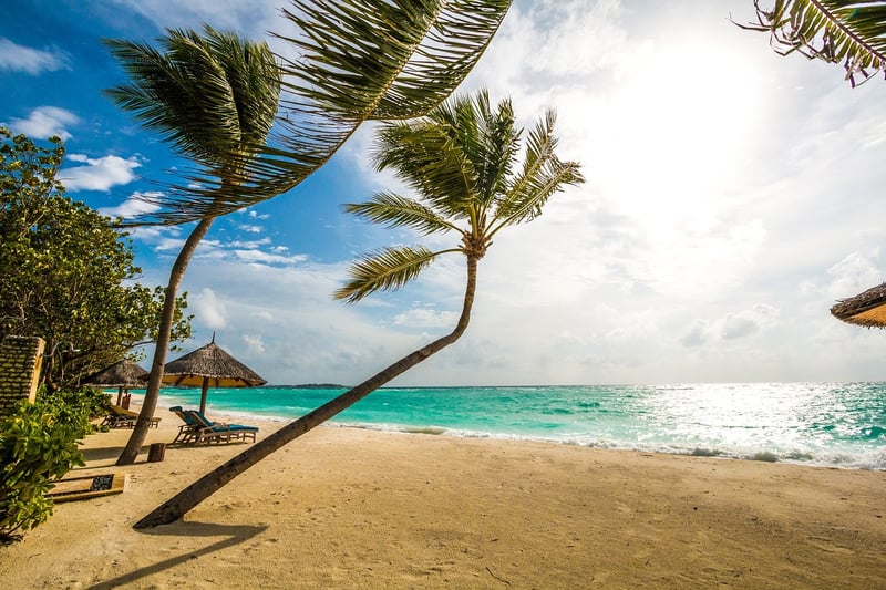 Tropical Paradise